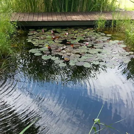 Vakantiehuis Prazdninovy Dum U Lesa *