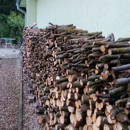 Prazdninovy Dum U Lesa *